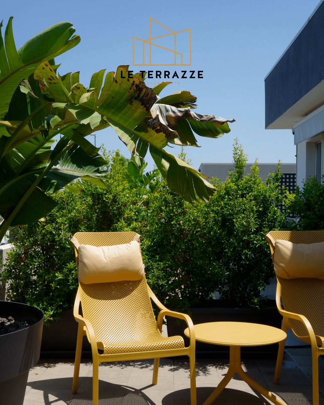 La Terrazza rooftop terrace at golden hour